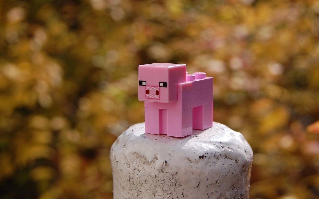Jak grać w Minecraft na serwerze z przyjaciółmi?