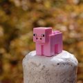 Jak grać w Minecraft na serwerze z przyjaciółmi?