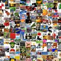 Jak zrobić kolaż w Picasa i dodać własny styl do zdjęć?